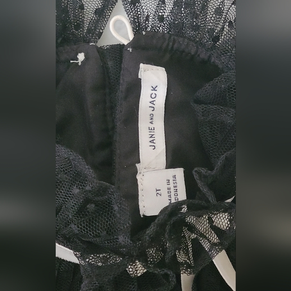 Janie and Jack- Girl's Black Dot Tiered Tulle Dress, Sz 2T - Picture 3 of 5
